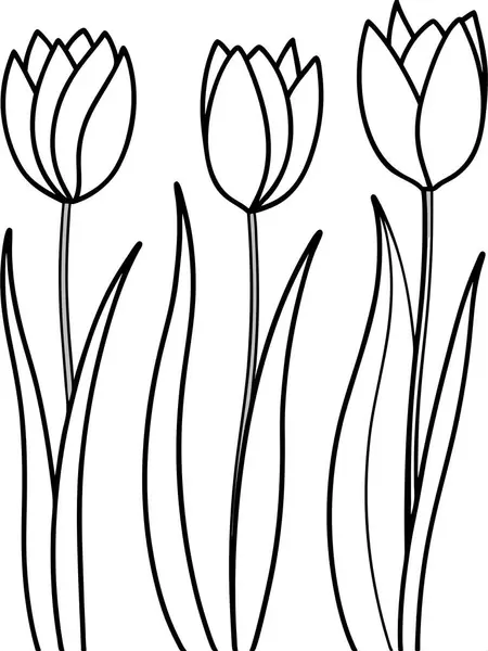 Beyaz arka planda çiçek ve botanik boyama sayfası