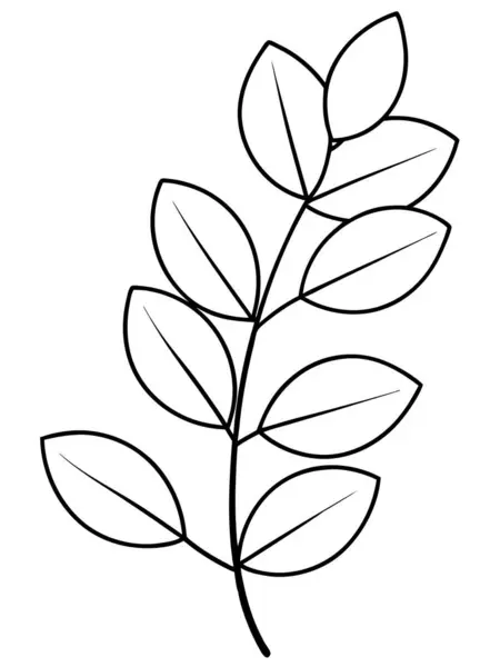 Beyaz arka planda çiçek ve botanik boyama sayfası