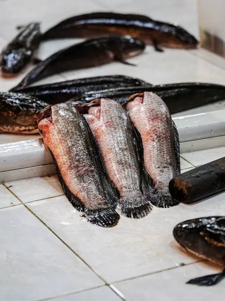 stock image Four snakehead fish lay on a white tiled floor, cleaned and ready for sale at a market.