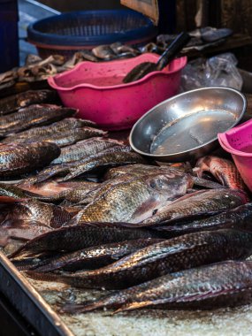 Bir markette sergilenen taze balığın yakın plan görüntüsü..