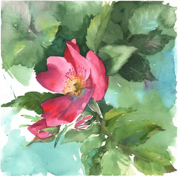 Beautiful hand-drawn watercolor flowers. Wild flower background suitable for Wedding Invitation, save the date, thank you, or greeting card.