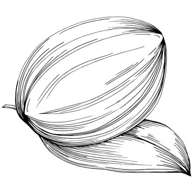 line art floral decor vector illustration on white