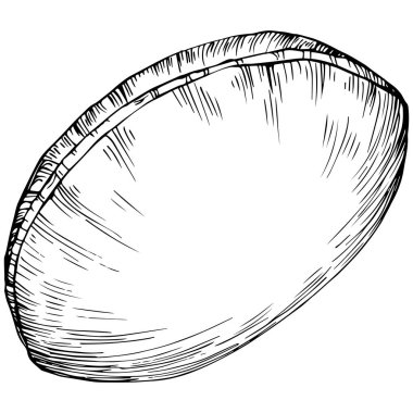 Brezilya cevizi ya da Brezilya fındığı elle çizilmiş Vector Illustration arka planda izole edilmiş. Restoran menüsü, market etiketi, logo, amblem, mutfak tasarımı için Retro style tarım ürünü. Paketleme için dekorasyon