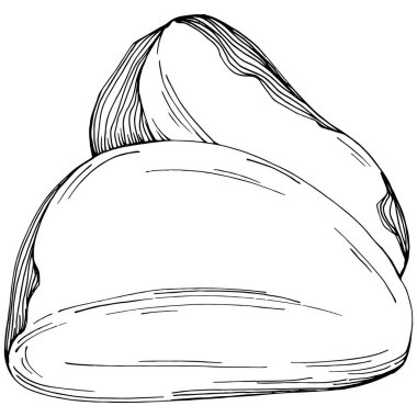 Brezilya cevizi ya da Brezilya fındığı elle çizilmiş Vector Illustration arka planda izole edilmiş. Restoran menüsü, market etiketi, logo, amblem, mutfak tasarımı için Retro style tarım ürünü. Paketleme için dekorasyon