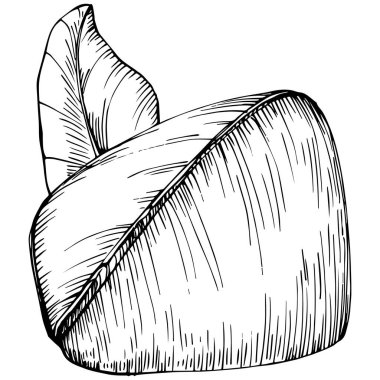 Brezilya cevizi ya da Brezilya fındığı elle çizilmiş Vector Illustration arka planda izole edilmiş. Restoran menüsü, market etiketi, logo, amblem, mutfak tasarımı için Retro style tarım ürünü. Paketleme için dekorasyon