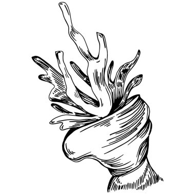 Elle çizilmiş mercanlar beyaza izole edilmiş. Çizim