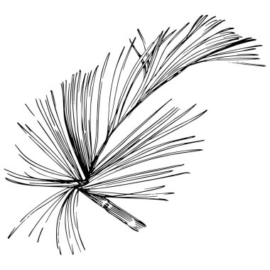 Wildflower fir-needle tree pattern in a one line style. Outline of the plant: Black and white engraved ink art needle. Sketch wild flower for background, texture, wrapper pattern, frame or border.