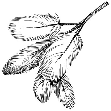 Wildflower fir-needle tree pattern in a one line style. Outline of the plant: Black and white engraved ink art needle. Sketch wild flower for background, texture, wrapper pattern, frame or border.