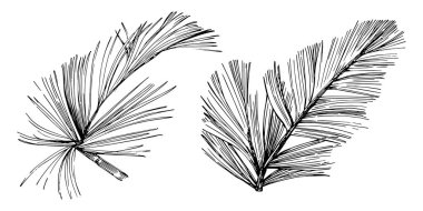 Wildflower fir-needle tree pattern in a one line style. Outline of the plant: Black and white engraved ink art needle. Sketch wild flower for background, texture, wrapper pattern, frame or border.