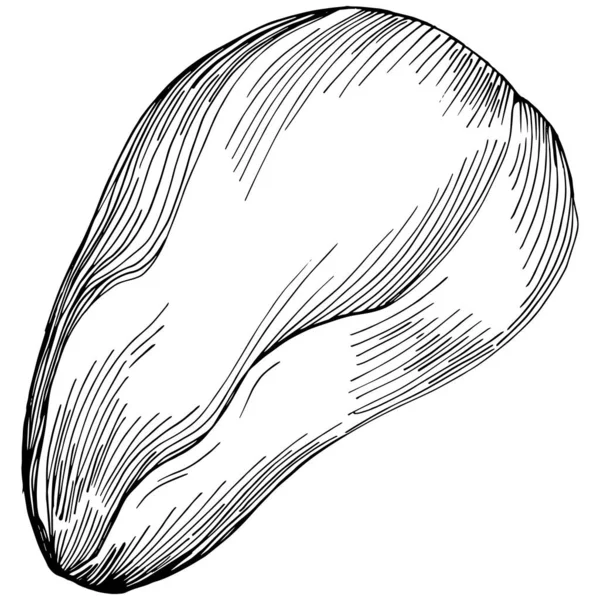 Brezilya cevizi ya da Brezilya fındığı elle çizilmiş Vector Illustration arka planda izole edilmiş. Restoran menüsü, market etiketi, logo, amblem, mutfak tasarımı için Retro style tarım ürünü. Paketleme için dekorasyon