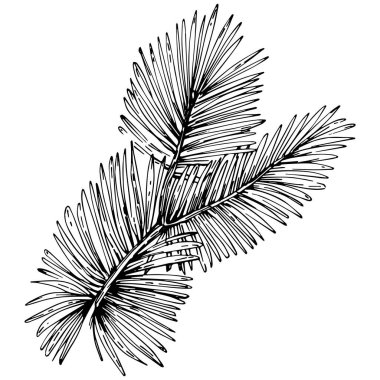 Wildflower fir-needle tree pattern in a one line style. Outline of the plant: Black and white engraved ink art needle. Sketch wild flower for background, texture, wrapper pattern, frame or border.