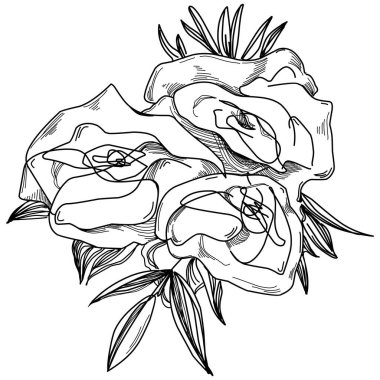 Vector Flowers summer. Isolated botanical flower, leaves. Black and white engraved sketch ink art. Leaf plant botanical garden floral foliage. Wildflower drawing leaf illustration element.