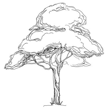 Tropical tree with leaves, black silhouettes isolated on white background. Vector