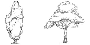 Tropical tree with leaves, black silhouettes isolated on white background. Vector