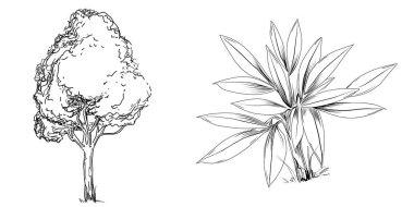 Tropical tree with leaves, black silhouettes isolated on white background. Vector