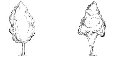 Tropical tree with leaves, black silhouettes isolated on white background. Vector