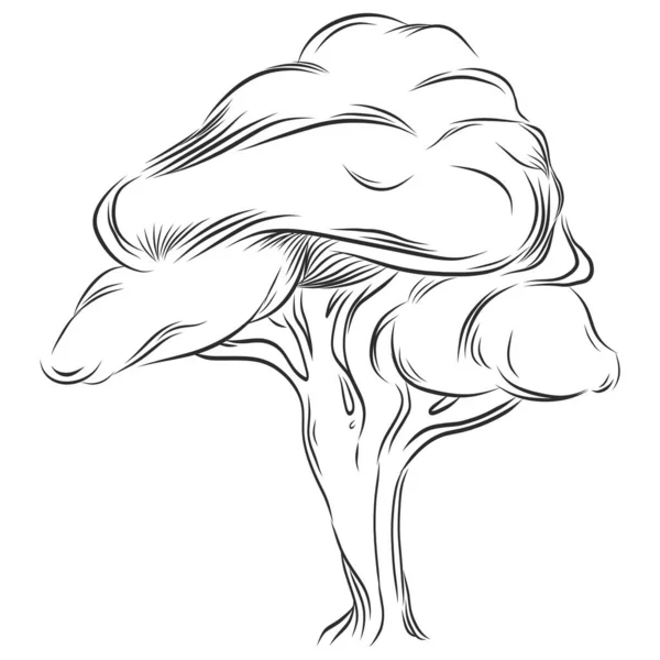 Tropický Strom Listy Černé Siluety Izolované Bílém Pozadí Vektor — Stockový vektor