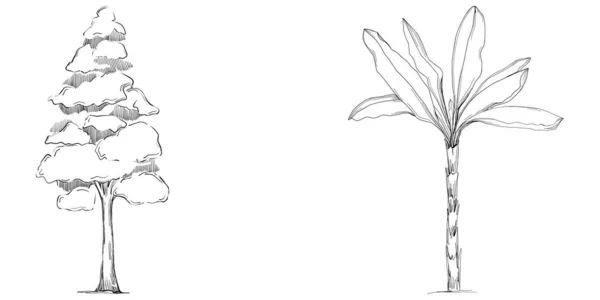 Тропическое Дерево Листьями Черные Силуэты Изолированы Белом Фоне Вектор — стоковый вектор