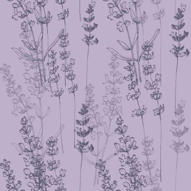 Wildflower lavender flower pattern in a one line style. Outline of the plant: Black and white engraved ink art lavender. Sketch wild flower for background, texture, wrapper pattern, frame or border.