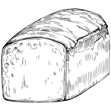 Bread hand drawn illustration