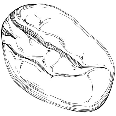 Bread hand drawn illustration