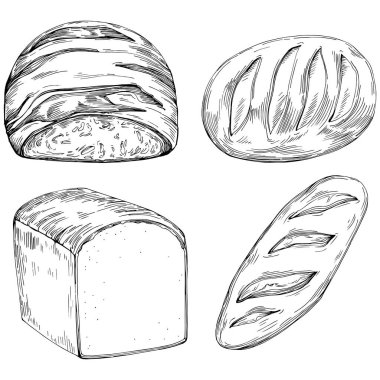 Bread hand drawn illustration