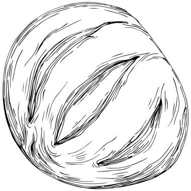 Bread hand drawn illustration