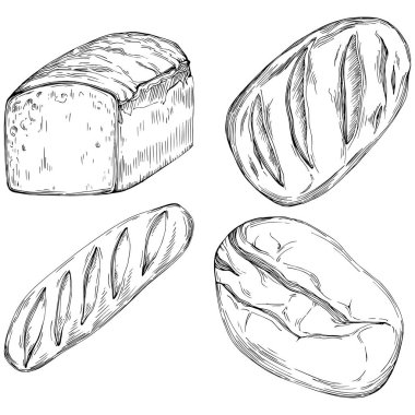 Bread hand drawn illustration