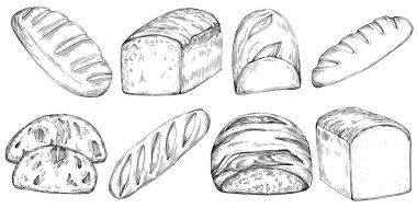 Bread hand drawn illustration