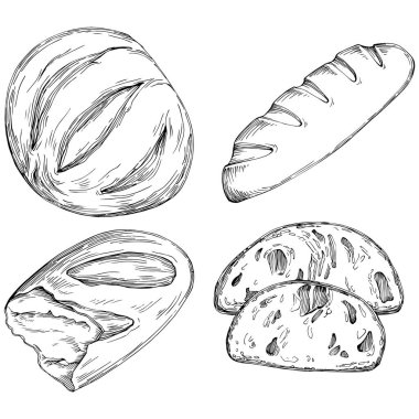 Bread hand drawn illustration