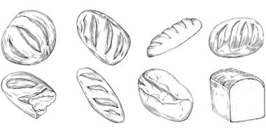 Bread hand drawn illustration