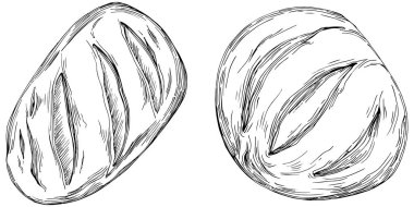 Bread hand drawn illustration
