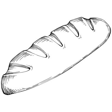 Bread hand drawn illustration