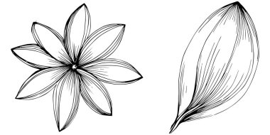 Siyah ve beyaz oymalı çiçeklerin vektör çizimi. Boyama kitabı için dekoratif öge, ambalaj çizimi.