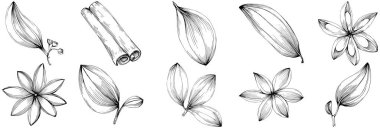 Çiçek yaprakları ve bitkilerin vektör kümesi