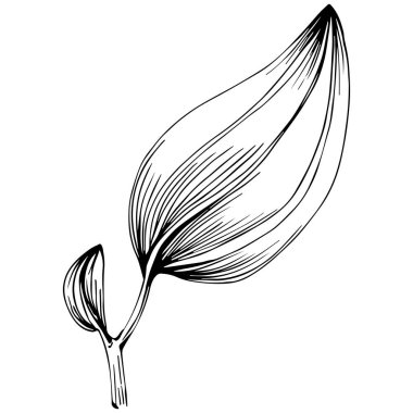 Siyah ve beyaz oymalı çiçeklerin vektör çizimi. Boyama kitabı için dekoratif öge, ambalaj çizimi.