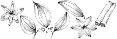 Çiçek yaprakları ve bitkilerin vektör kümesi