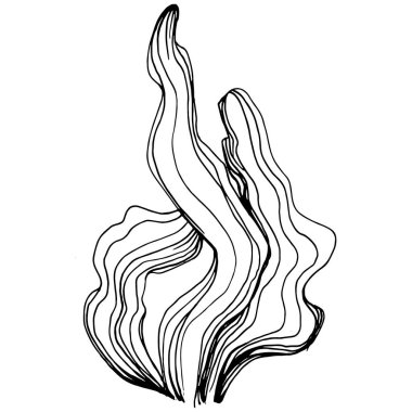 Elle çizilmiş mercanlar beyaza izole edilmiş. Çizim