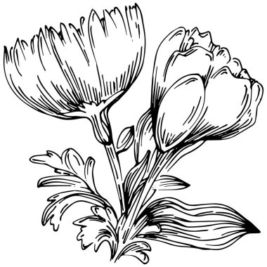 Siyah ve beyaz oymalı çiçeklerin vektör çizimi. Boyama kitabı için dekoratif öge, ambalaj çizimi.