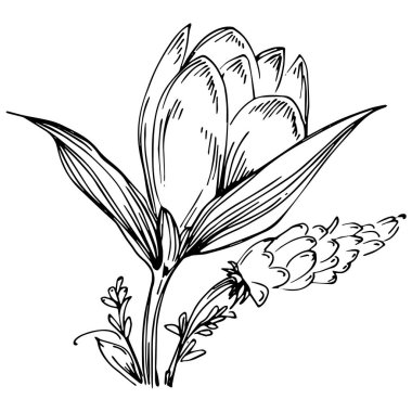 Siyah ve beyaz oymalı çiçeklerin vektör çizimi. Boyama kitabı için dekoratif öge, ambalaj çizimi.