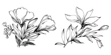 Siyah ve beyaz oymalı çiçeklerin vektör çizimi. Boyama kitabı için dekoratif öge, ambalaj çizimi.