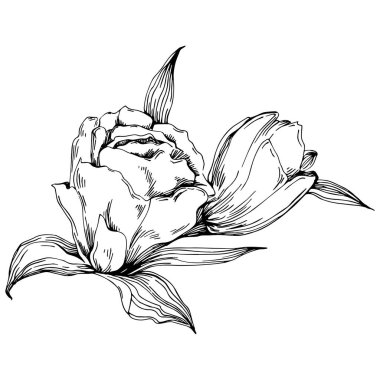 Siyah ve beyaz oymalı çiçeklerin vektör çizimi. Boyama kitabı için dekoratif öge, ambalaj çizimi.