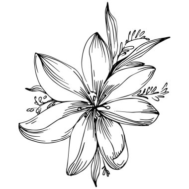 Siyah ve beyaz oymalı çiçeklerin vektör çizimi. Boyama kitabı için dekoratif öge, ambalaj çizimi.