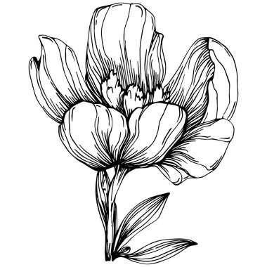 Siyah ve beyaz oymalı çiçeklerin vektör çizimi. Boyama kitabı için dekoratif öge, ambalaj çizimi.