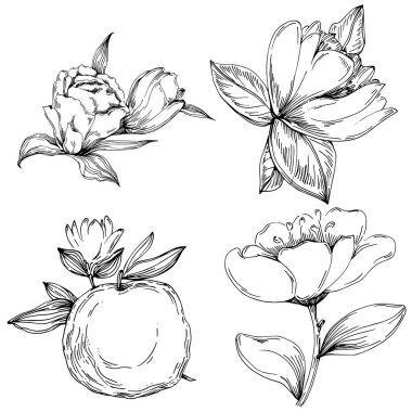 Siyah ve beyaz oymalı çiçeklerin vektör çizimi. Boyama kitabı için dekoratif öge, ambalaj çizimi.