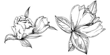 Siyah ve beyaz oymalı çiçeklerin vektör çizimi. Boyama kitabı için dekoratif öge, ambalaj çizimi.