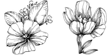 Siyah ve beyaz oymalı çiçeklerin vektör çizimi. Boyama kitabı için dekoratif öge, ambalaj çizimi.