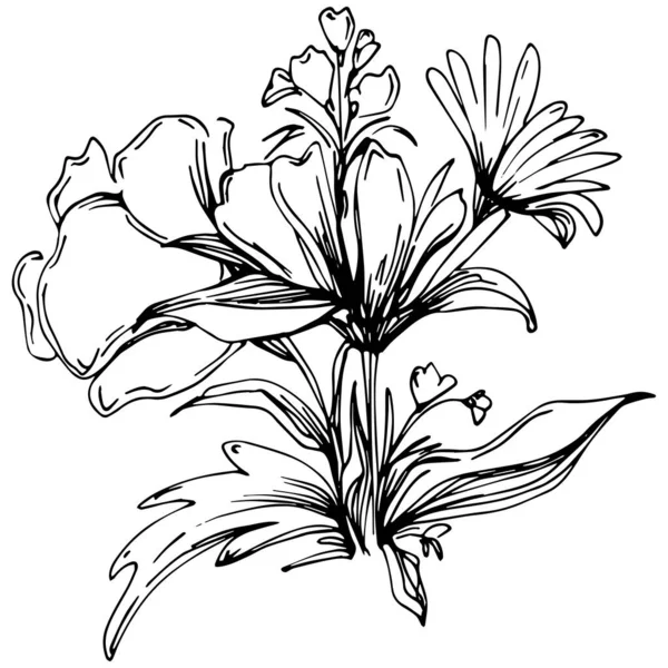 Ilustrație Vectorială Unei Flori Gravate Alb Negru Element Decorativ Pentru — Vector de stoc