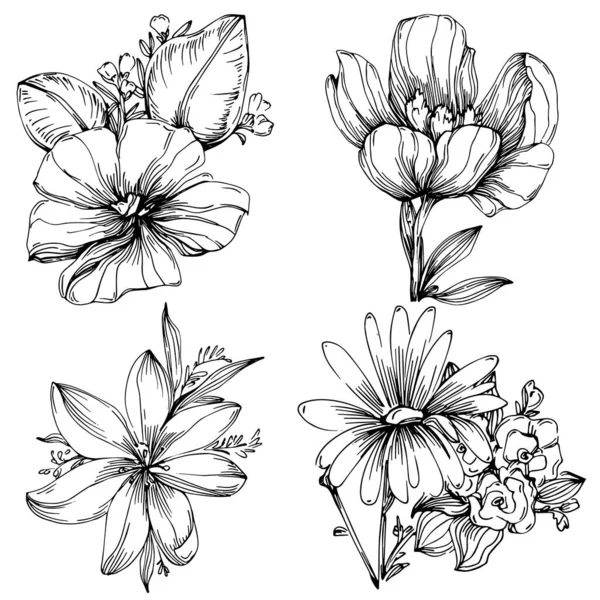 Vektorillusztráció Fekete Fehér Vésett Virágokról Díszítő Elem Színező Könyv Csomagolópapír — Stock Vector