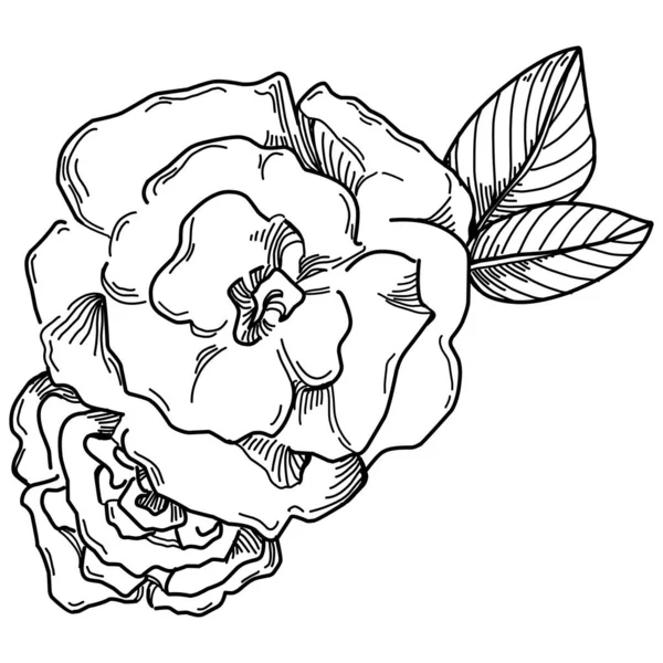 黒と白の刻まれた花のベクトル図 装飾的な要素のぬり絵 ラッパー描画 — ストックベクタ